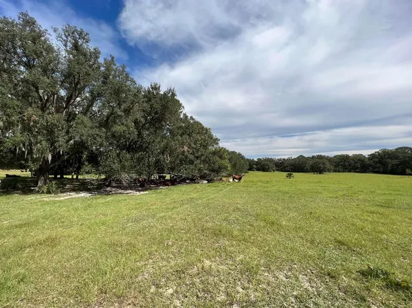 5271 NW 97th Ct, Chiefland, FL 32626