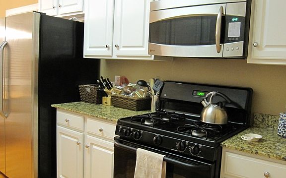 Kitchen stove and fridge