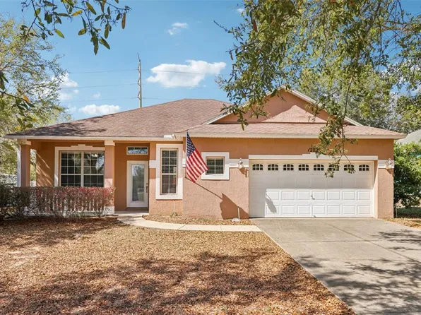 12829 Scout Ct, Grand Island, FL 32735