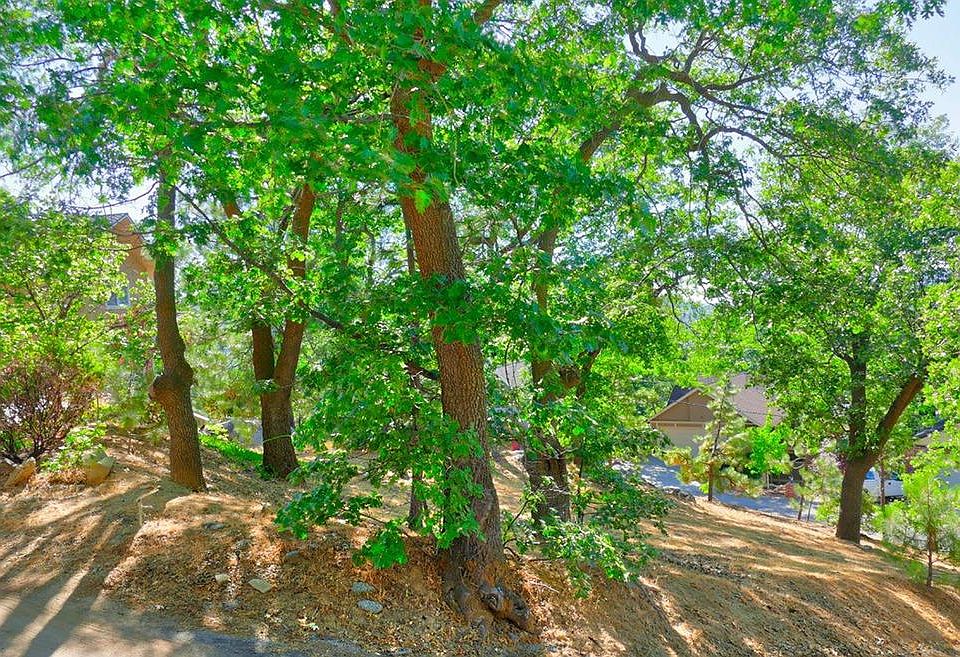 1st image of 1393 Sequoia Dr