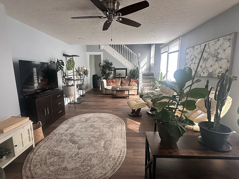 living room - current tenant