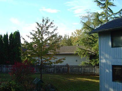 Backyard lawn