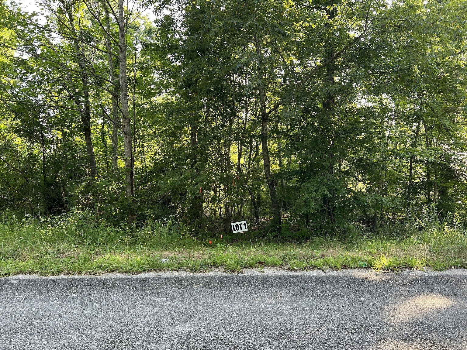 1 Slaughter Rd, Primm Springs, TN 38476 | MLS #3070794 | Zillow