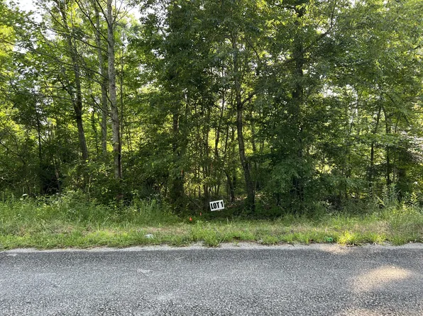 1 Slaughter Rd, Primm Springs, TN 38476