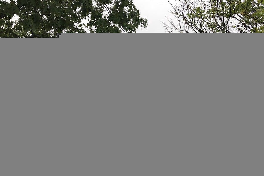1st image of 371 N Westmore Ave