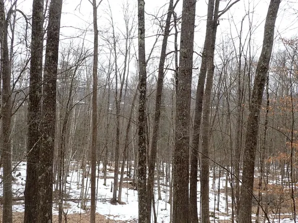- Denio Road, Barnet, VT 05821