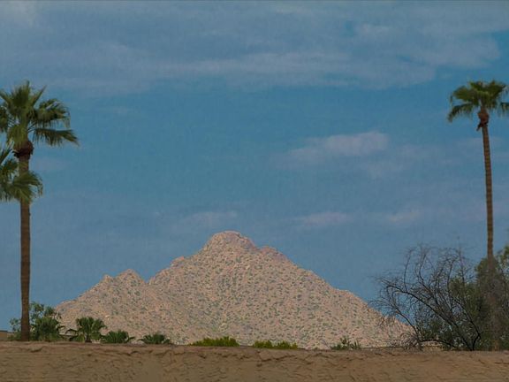 Camelback Views