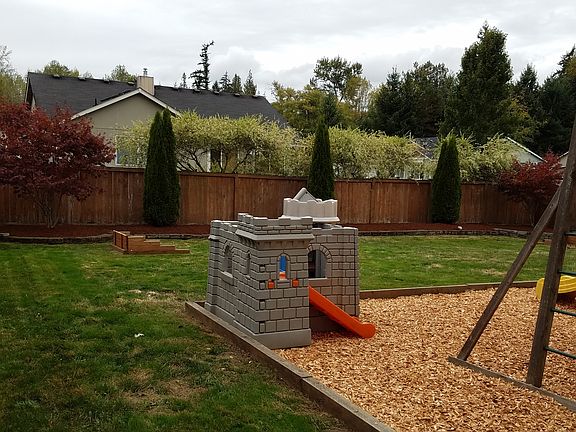Back yard