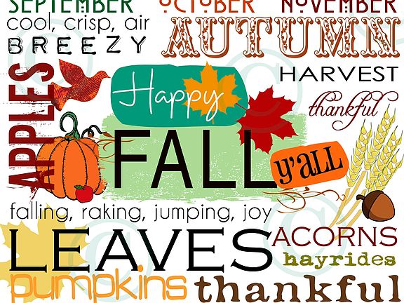 FALL SPECIAL! MOVE IN BEFORE 9/1 GET $99 DEPOSIT & $300 OFF
