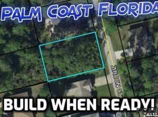 6 Zircon Ct, Palm Coast, FL 32164