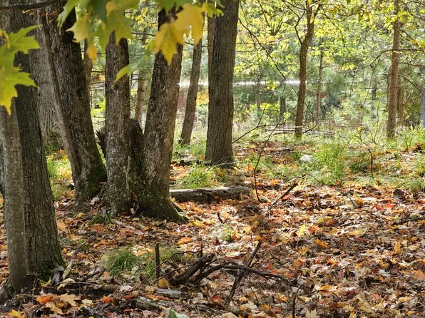 LOT 1219 Pebble Beach Dr, Gaylord, MI 49735