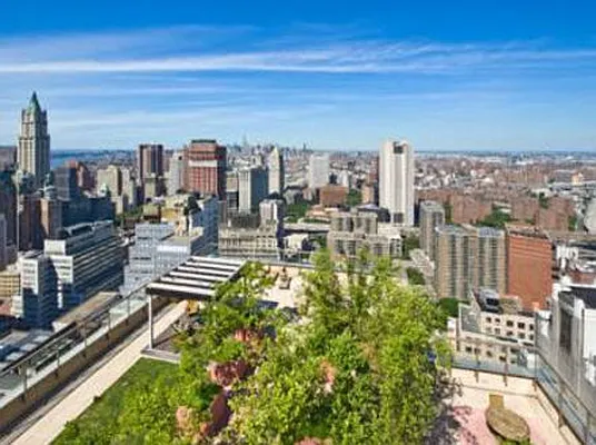 Rented by BLU Real Estate | media 5