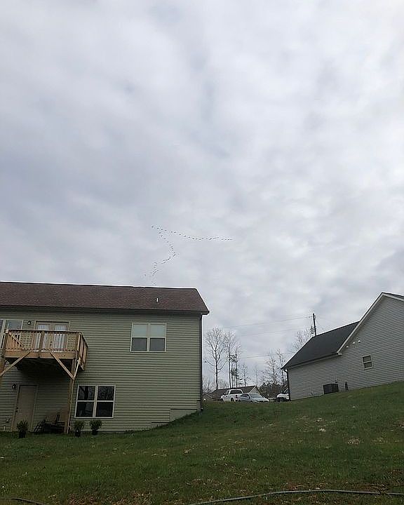 2nd image of 51 Holly Ct