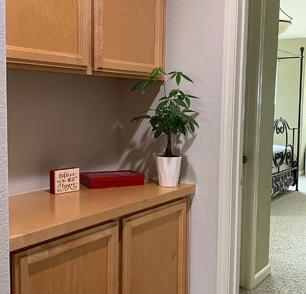 66 Cross Creek Pl — Photo 16