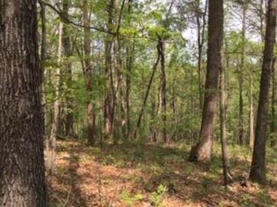 0 Woodson Rd #3, Eagle Rock, VA, 24085