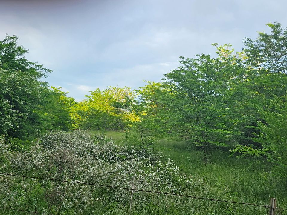 1st image of Powell Ln