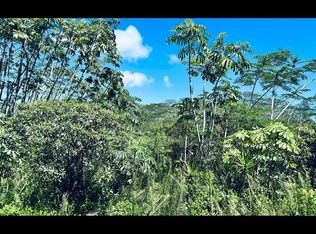 15-1999 31st Ave LOT 301, Keaau, HI 96749