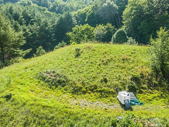 2nd image of LOT 31 Alleghany Beauty