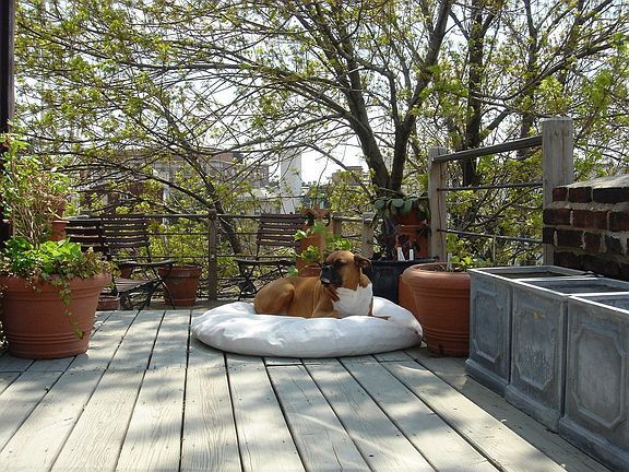 Roof - Spring