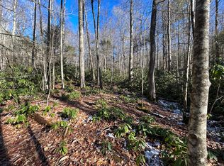 0 Viking Mountain Rd, Greeneville, TN 37743