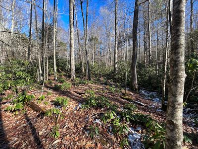 0 Viking Mountain Rd, Greeneville, TN, 37743