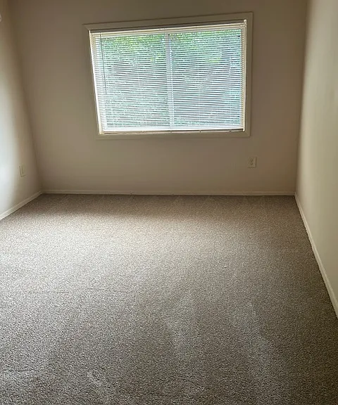 Southern Terrace — Photo 22
