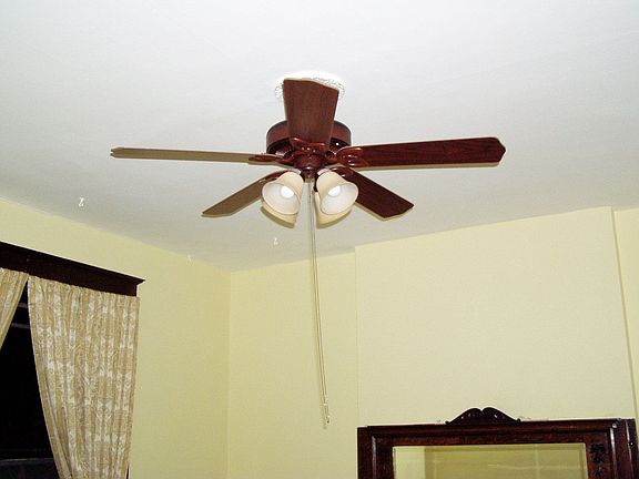 fan