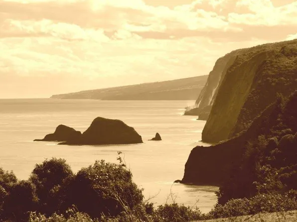 52-5055 Akoni Pule Hwy Lot 50E, Kapaau, HI 96755