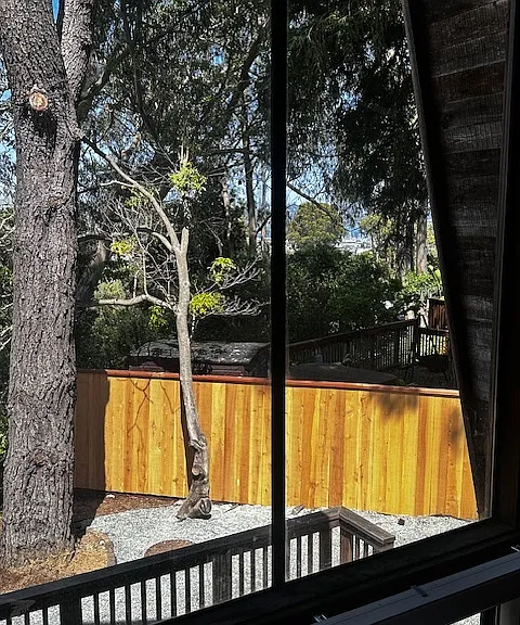 200 Buchanan Dr #1 — Photo 3