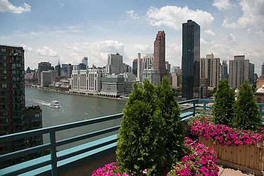 Rented by Manhattan Park