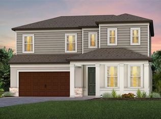 33339 Barnebrook Dr, Wesley Chapel, FL 33545