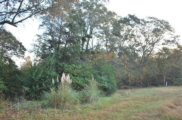 2nd image of Dingler Rd