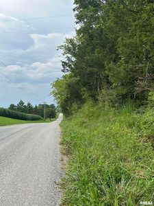 1040 Blueberry Hill Rd, Cobden, IL, 62920