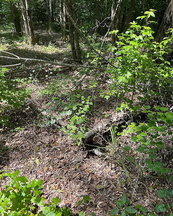 2nd image of 444 County Road 6606