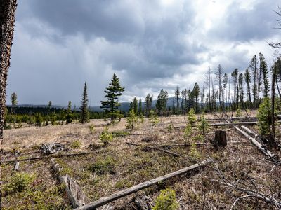 Nhn Bear Gulch Rd, Lincoln, MT, 59639