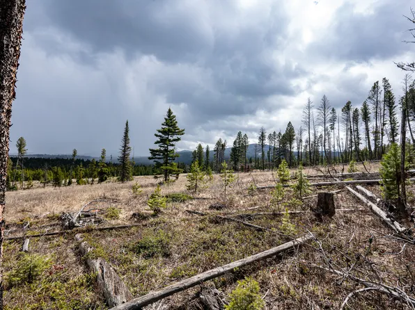 Nhn Bear Gulch Rd, Lincoln, MT 59639