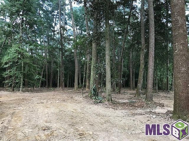2nd image of 0 Red Oak Dr