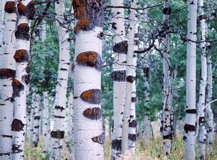 595 Porcupine Loop, Coalville, UT 84017