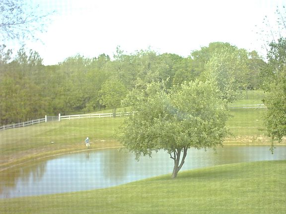 pond