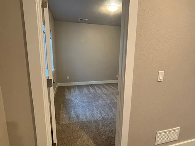 1333 Alyssa Way — Photo 46