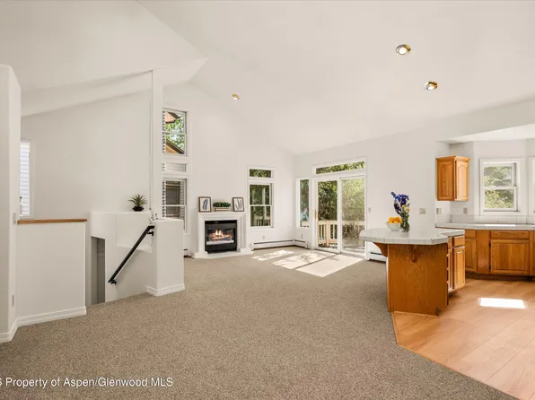 1524 Mockingbird Ln, Basalt, CO 81621