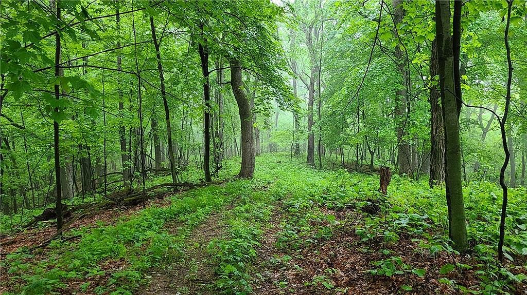 000 County Road SS, Wheeler, WI 54772 Zillow