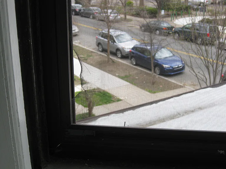 Looking out onto CedarAvenue