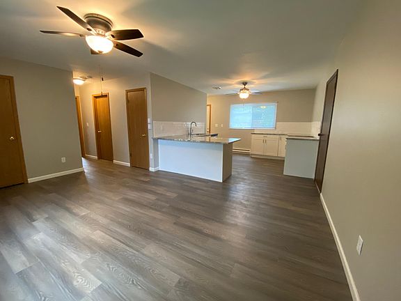 Living room and kitchen