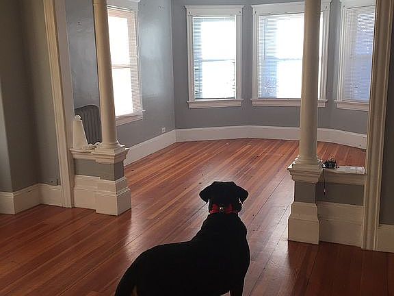 View From Dinning room into