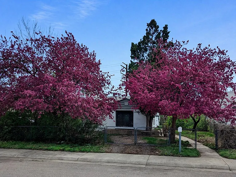 1256 S Mariposa Street in full bloom