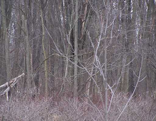 3rd image of E Kinsel