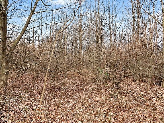 4th image of 2590 Chase Farm Rd