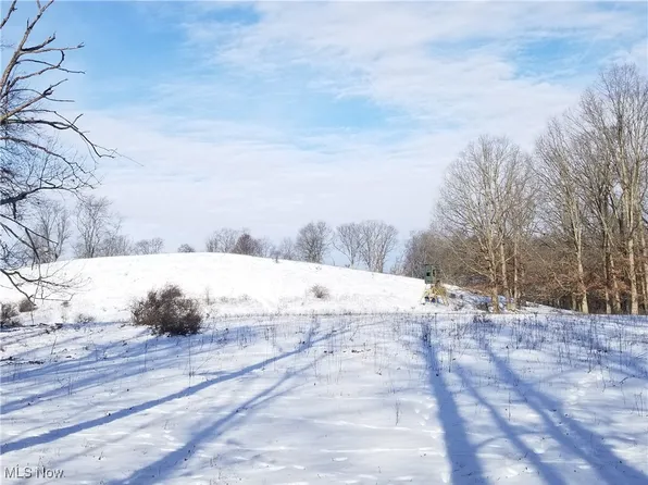 Lewis Rd, Salineville, OH 43945