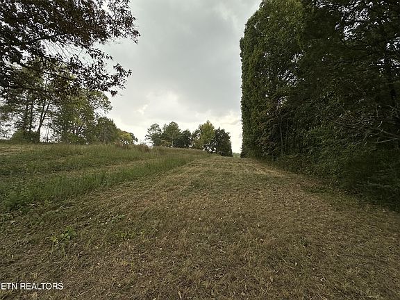 2nd image of 0 County Road 331